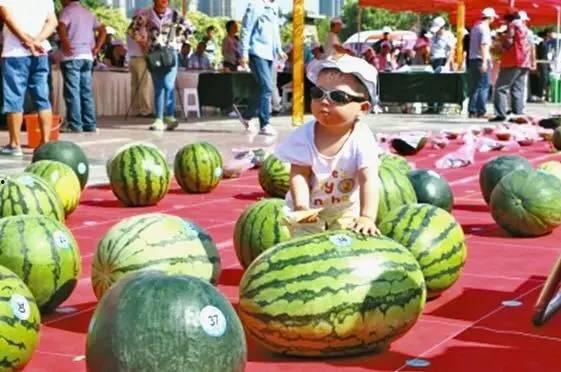 每日大赛吃瓜网入口,揭秘娱乐圈幕后风云，带你畅游八卦海洋